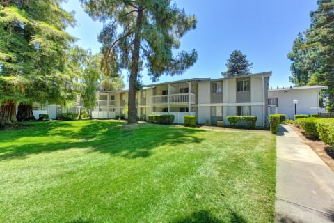 Apartment Exterior with Large Grass Area, Apartment Exteriors and Trees